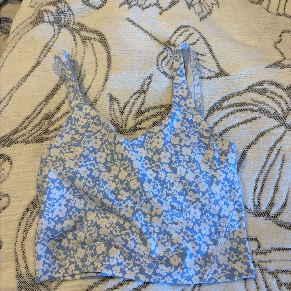 Gilly Hicks Blue and White Floral Crop Top